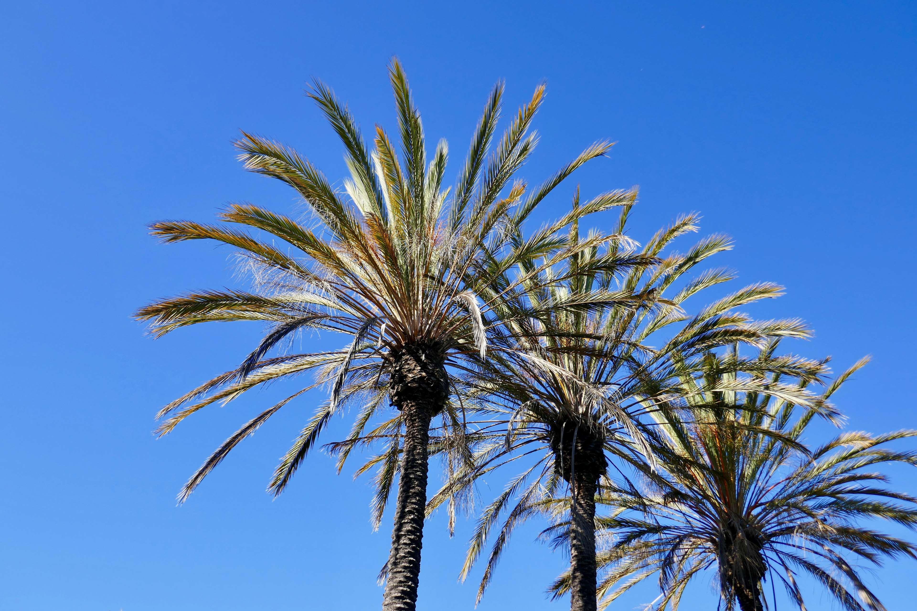 Best Western Golden Sails Hotel Long Beach Exterior photo