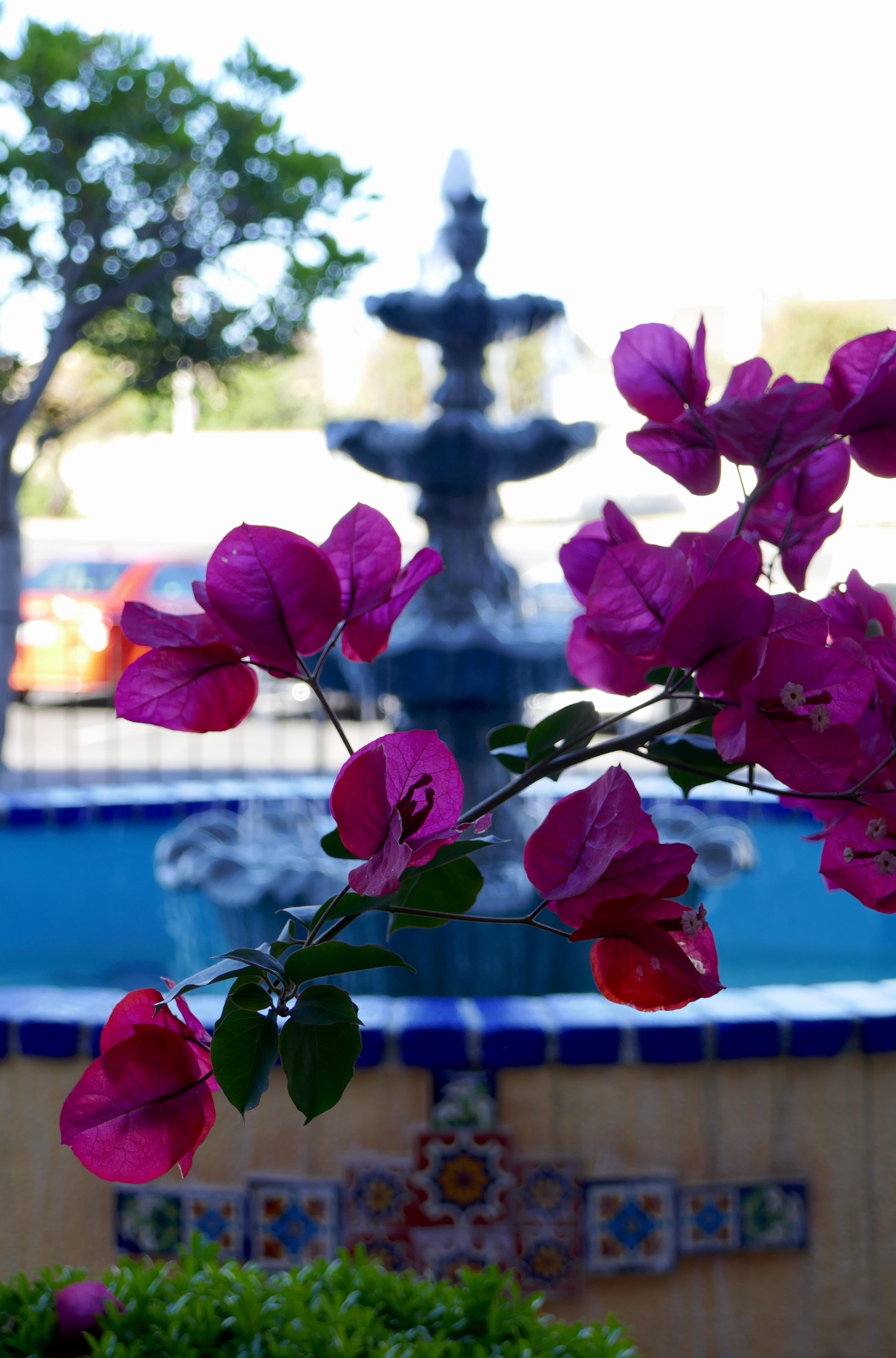 Best Western Golden Sails Hotel Long Beach Exterior photo