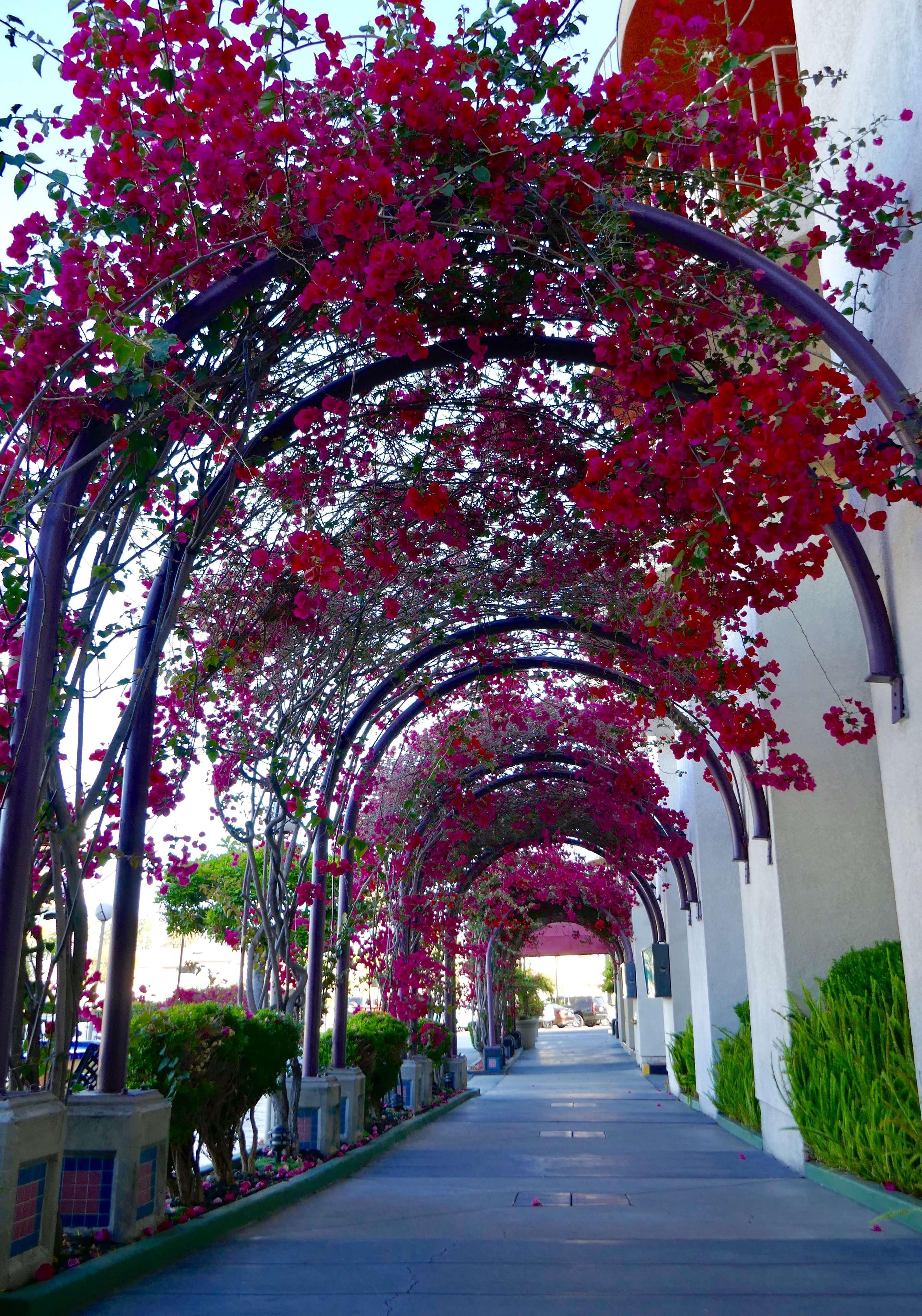 Best Western Golden Sails Hotel Long Beach Exterior photo